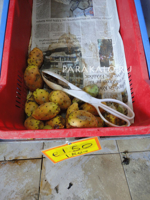 Плоды кактуса опунции продают на рынках и в супермаркетах