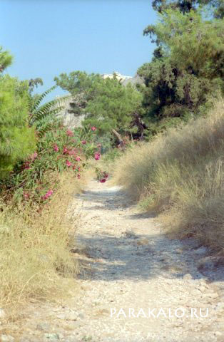 Фото тропинки через парк в направлении к Акрополю