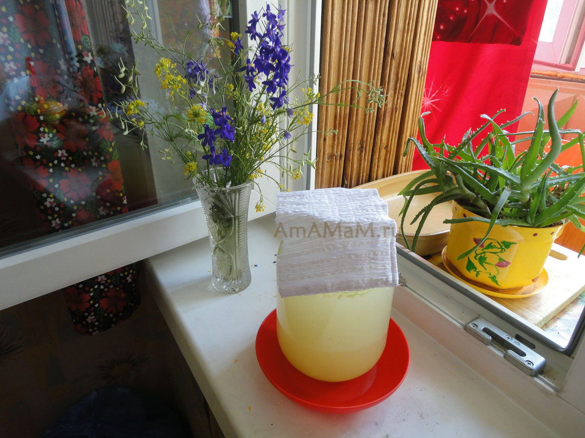 Лимонад с имбирем - рецепт газированного домашнего лимонада